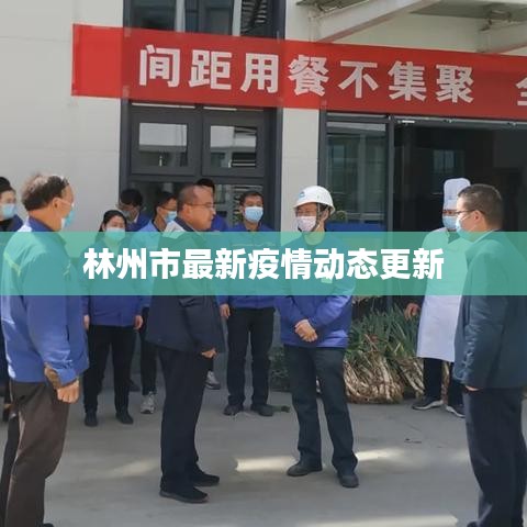 林州市最新疫情动态更新