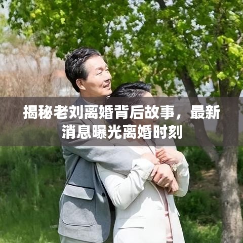 揭秘老刘离婚背后故事，最新消息曝光离婚时刻