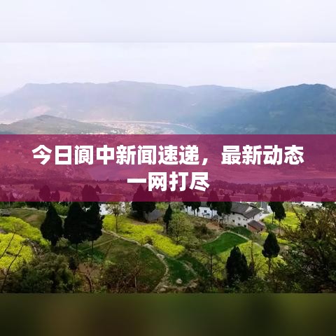今日阆中新闻速递，最新动态一网打尽