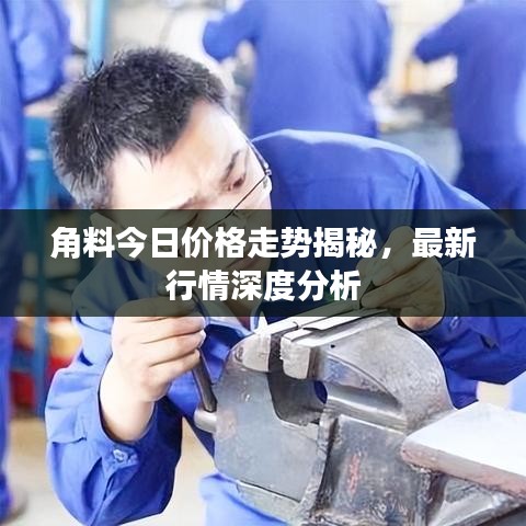 角料今日价格走势揭秘，最新行情深度分析