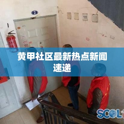 黄甲社区最新热点新闻速递