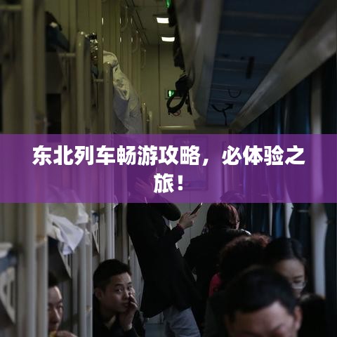 东北列车畅游攻略，必体验之旅！