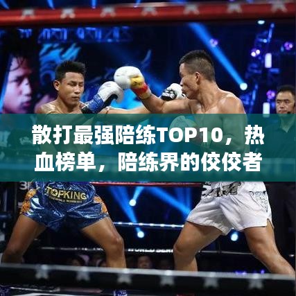 散打最强陪练TOP10，热血榜单，陪练界的佼佼者！
