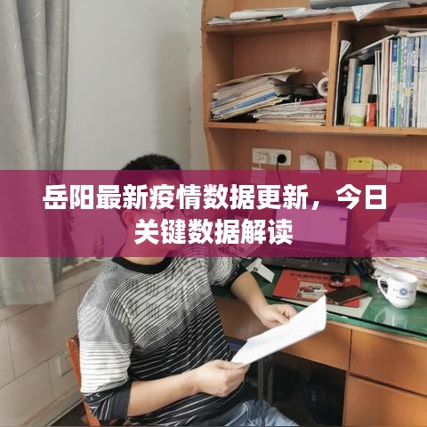 岳阳最新疫情数据更新，今日关键数据解读