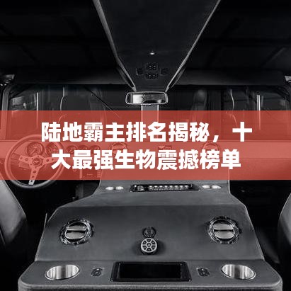 就正有道