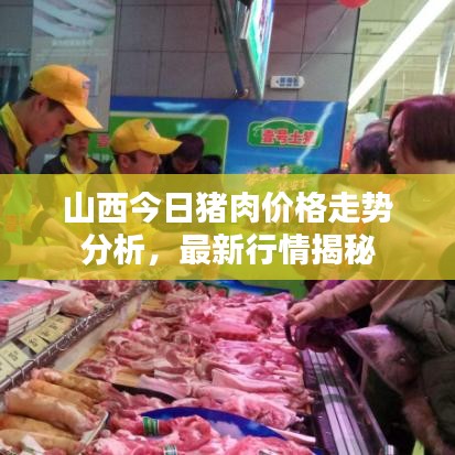 山西今日猪肉价格走势分析，最新行情揭秘