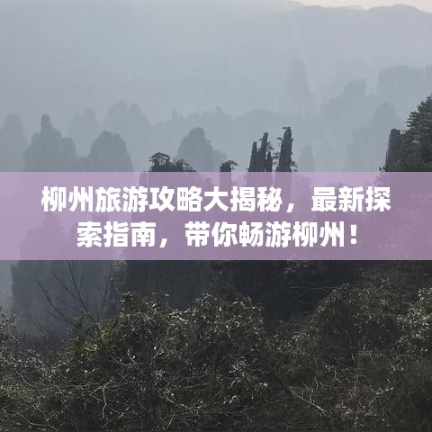 柳州旅游攻略大揭秘，最新探索指南，带你畅游柳州！