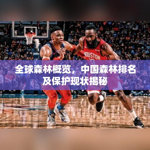 全球森林概览，中国森林排名及保护现状揭秘
