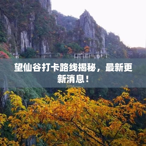 望仙谷打卡路线揭秘，最新更新消息！
