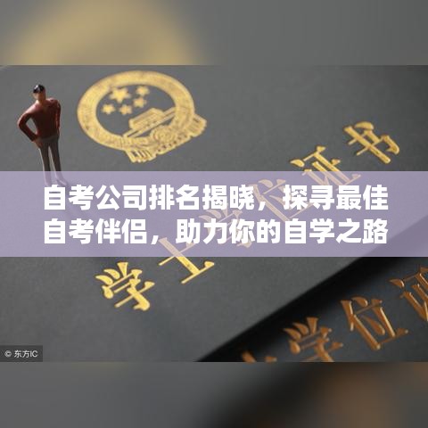 自考公司排名揭晓，探寻最佳自考伴侣，助力你的自学之路！