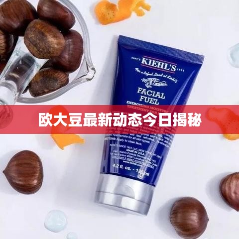 欧大豆最新动态今日揭秘