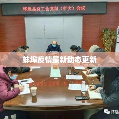 蚌埠疫情最新动态更新