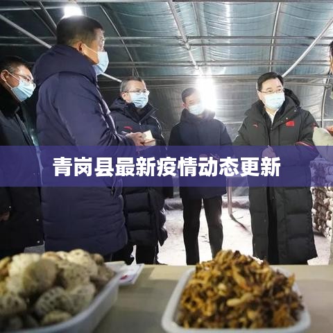 青岗县最新疫情动态更新