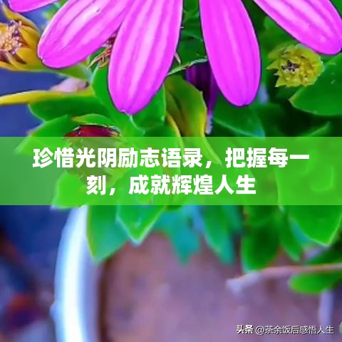 珍惜光阴励志语录，把握每一刻，成就辉煌人生