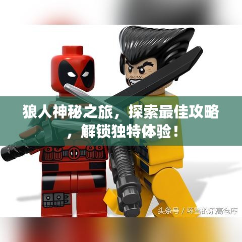 狼人神秘之旅，探索最佳攻略，解锁独特体验！