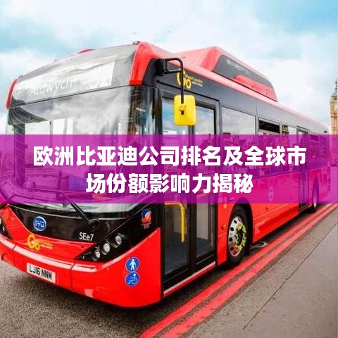 欧洲比亚迪公司排名及全球市场份额影响力揭秘