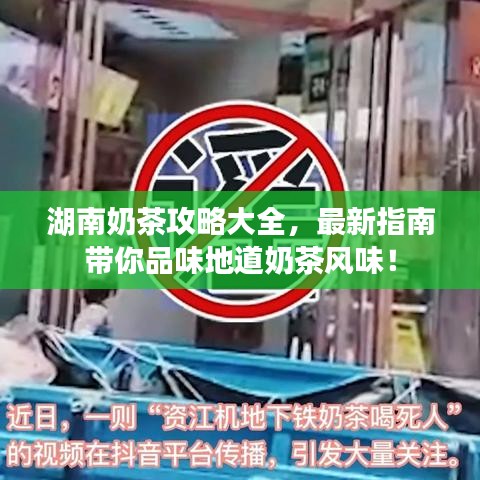 湖南奶茶攻略大全，最新指南带你品味地道奶茶风味！