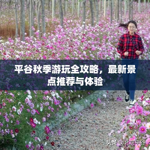 平谷秋季游玩全攻略，最新景点推荐与体验