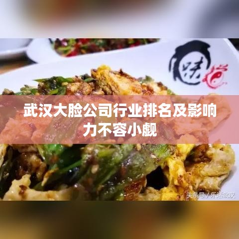 武汉大脸公司行业排名及影响力不容小觑