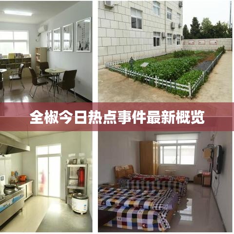 全椒今日热点事件最新概览