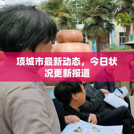 项城市最新动态，今日状况更新报道