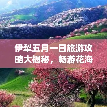 伊犁五月一日旅游攻略大揭秘，畅游花海，尽享美景盛宴！