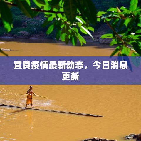 宜良疫情最新动态，今日消息更新