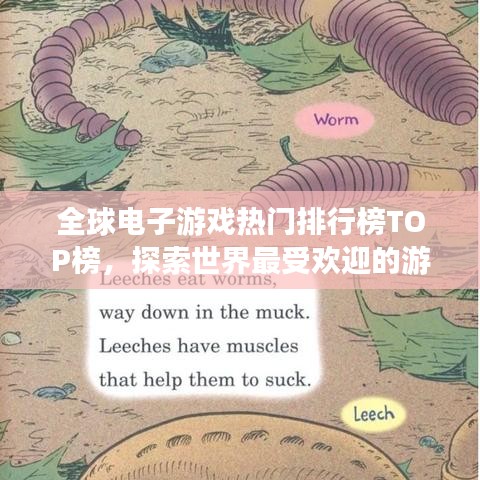 全球电子游戏热门排行榜TOP榜，探索世界最受欢迎的游戏之旅！