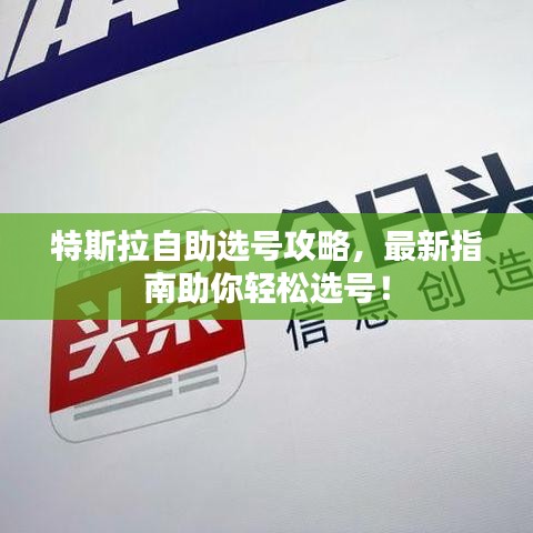 特斯拉自助选号攻略，最新指南助你轻松选号！
