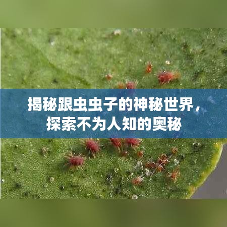 揭秘跟虫虫子的神秘世界，探索不为人知的奥秘