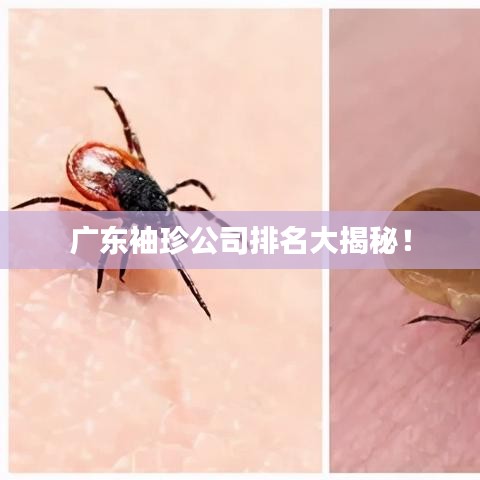 沉灶生蛙
