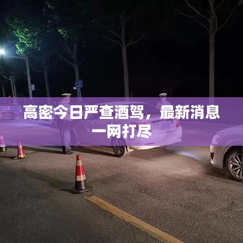 高密今日严查酒驾，最新消息一网打尽