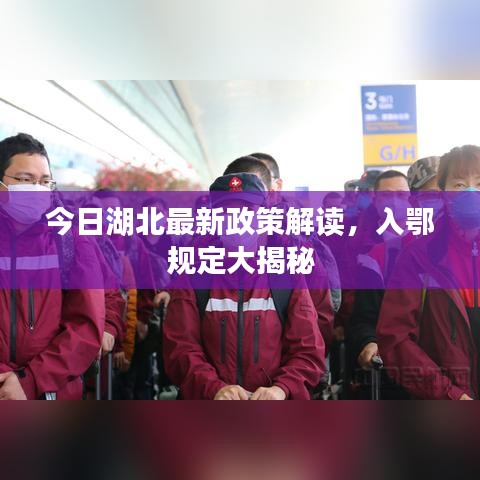 今日湖北最新政策解读，入鄂规定大揭秘