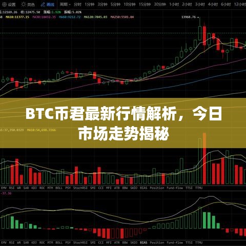 BTC币君最新行情解析，今日市场走势揭秘