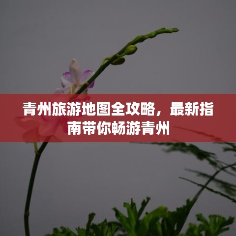 青州旅游地图全攻略，最新指南带你畅游青州