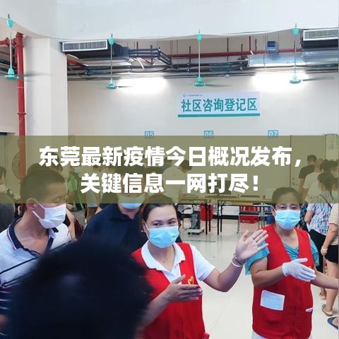 东莞最新疫情今日概况发布，关键信息一网打尽！