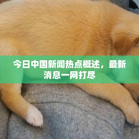 今日中国新闻热点概述，最新消息一网打尽