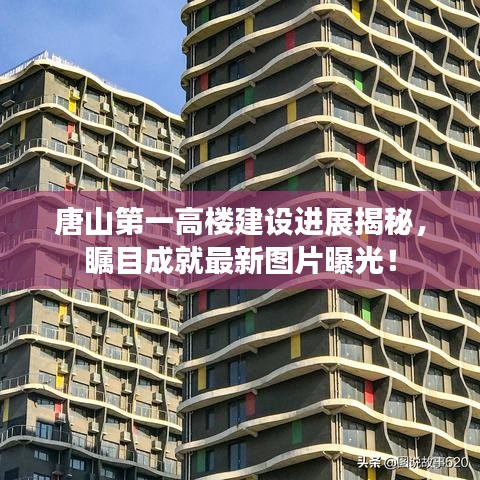 七嘴八张