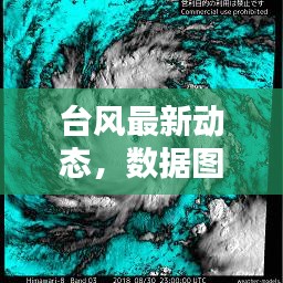 台风最新动态，数据图揭示风暴实时情况