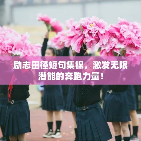 励志田径短句集锦，激发无限潜能的奔跑力量！