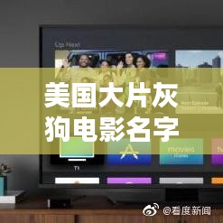 美国大片灰狗电影名字深度解析