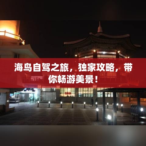 海鸟自驾之旅，独家攻略，带你畅游美景！