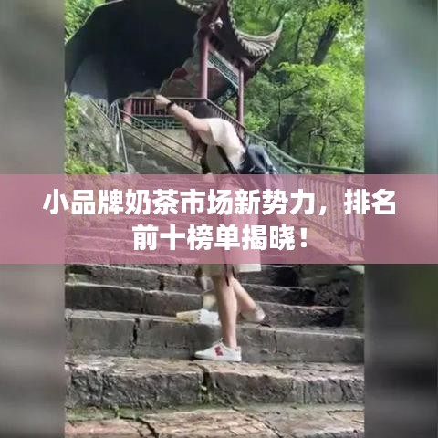 小品牌奶茶市场新势力，排名前十榜单揭晓！