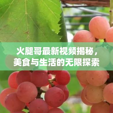火腿哥最新视频揭秘，美食与生活的无限探索之旅