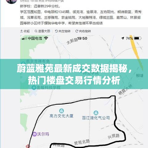蔚蓝雅苑最新成交数据揭秘，热门楼盘交易行情分析