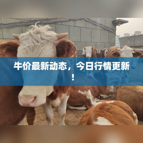 不飞则已