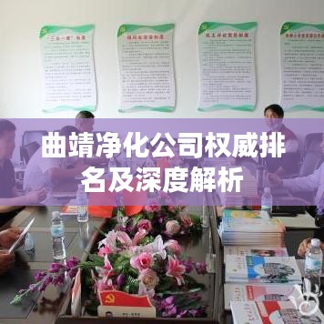 曲靖净化公司权威排名及深度解析