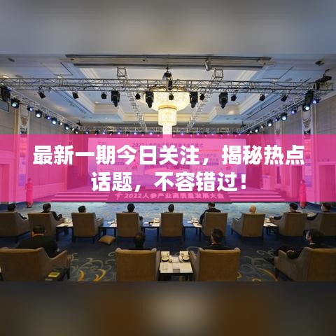 最新一期今日关注，揭秘热点话题，不容错过！