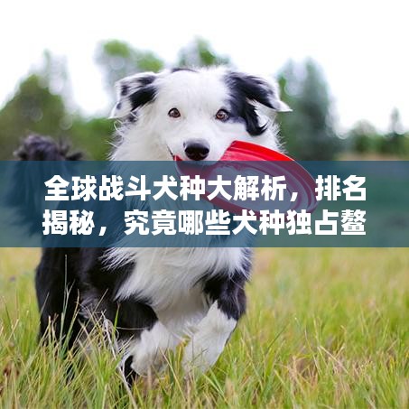 一席之地