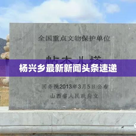 目不转睛